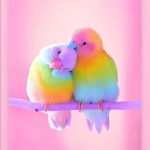 Meet your Posher, Maranda